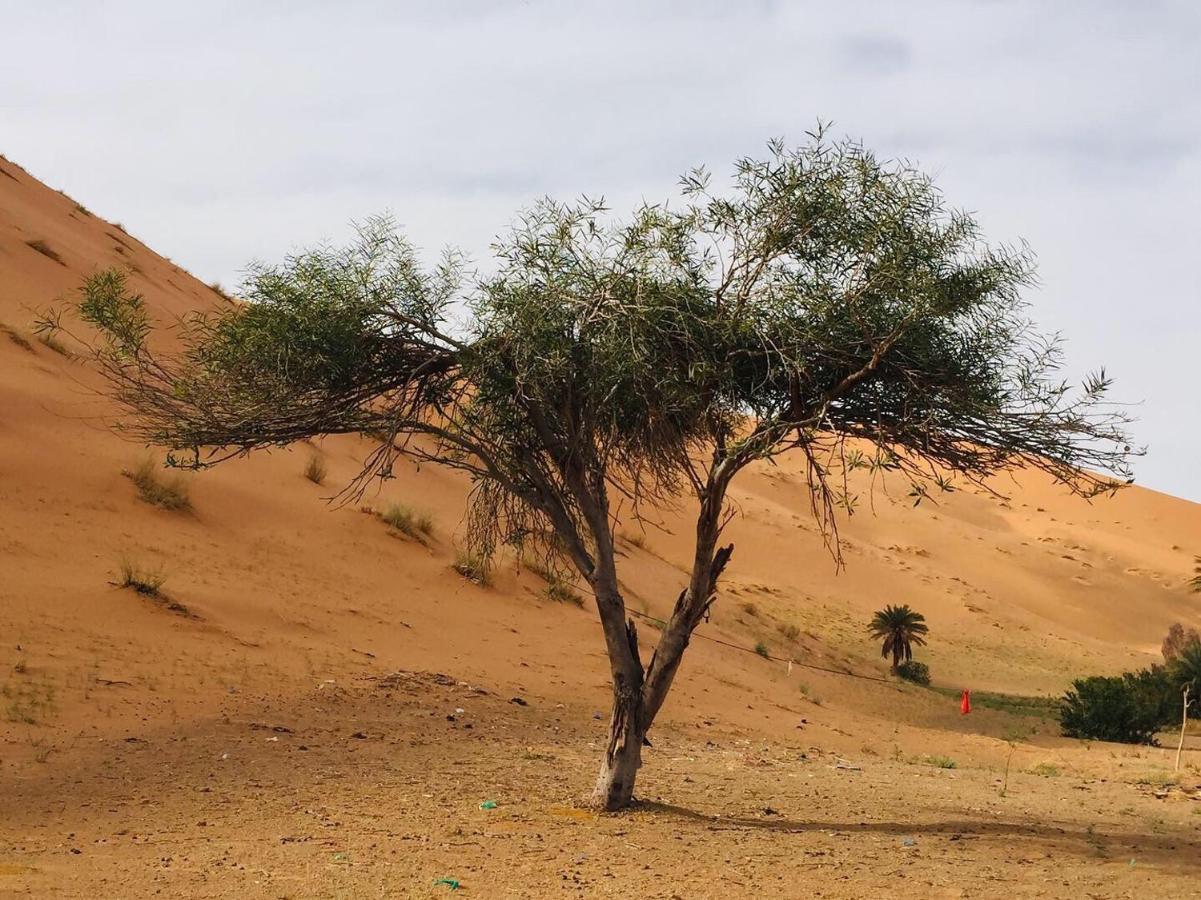 Desert Camel Trekking Camp Merzouga Exterior photo