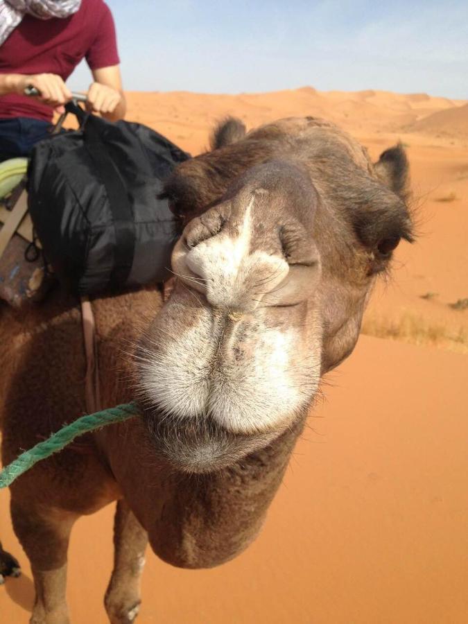Desert Camel Trekking Camp Merzouga Exterior photo